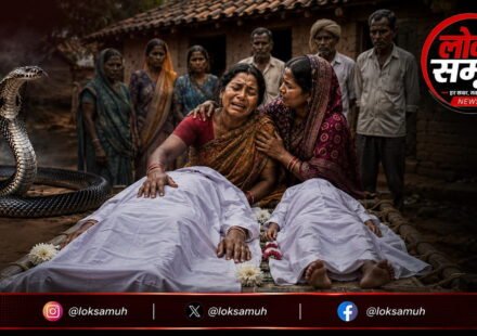 Delhi Snake Bite incident in Alipur where mother and daughter died after snake bite